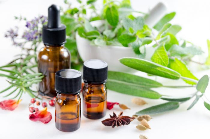 The Do’s and Don’ts of Essential Oils for Pet Owners