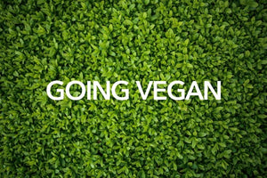 Wanna Go Vegan, but Not Sure Where to Start?